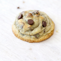 Chocolate Chip Cookie